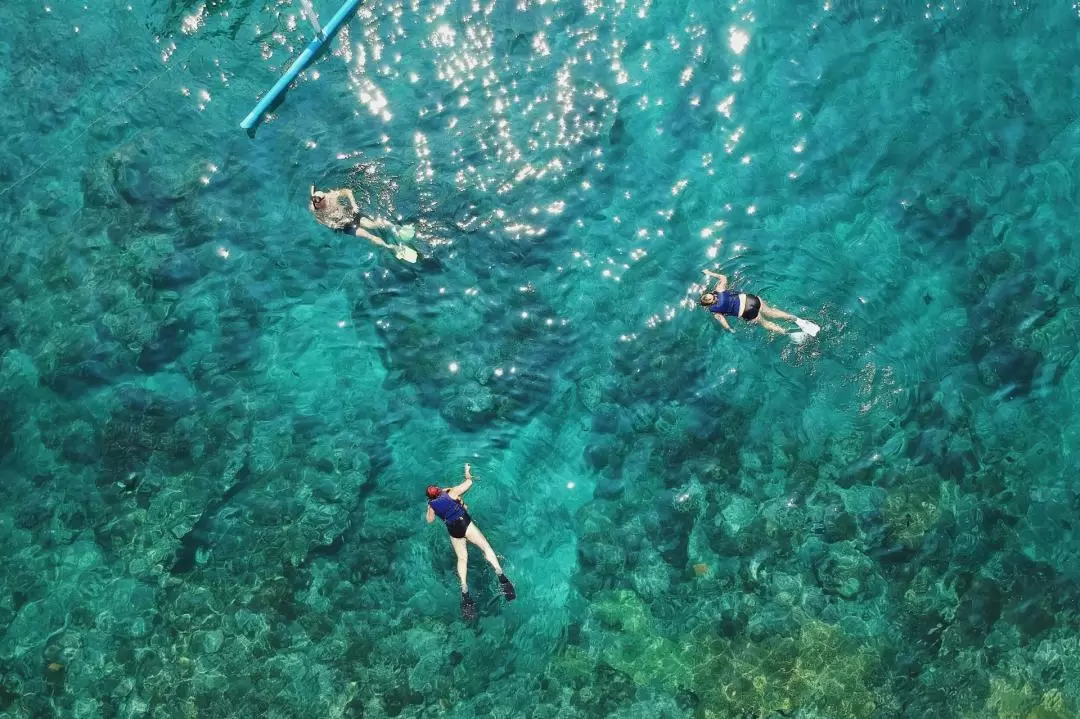 Guided Snorkeling Day Tour in Fujairah with BBQ Lunch from Dubai