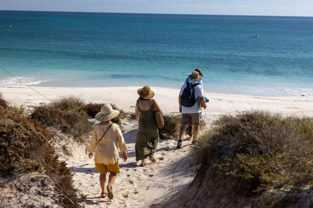 Abrolhos Islands Discovery Tour from Kalbarri