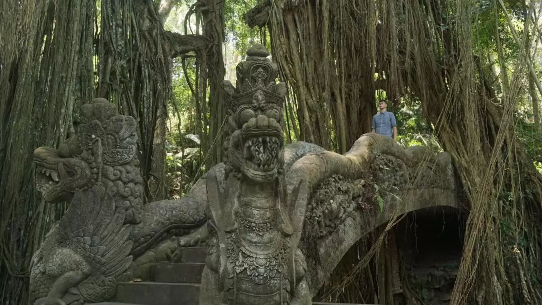 Ubud Monkey Forest and Tegalalang Private Trip