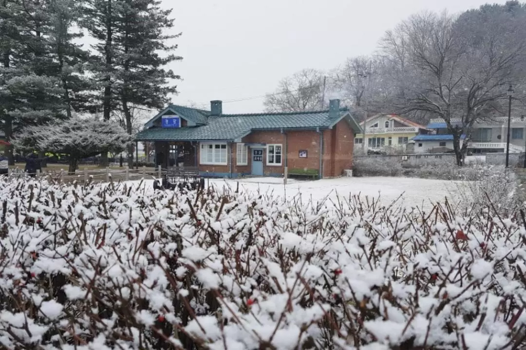 Gangchon Rail Bike Experience (Gyeonggang Station Course)