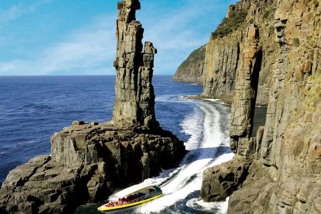 Bruny Island 3-Hour Wilderness Cruise from Hobart