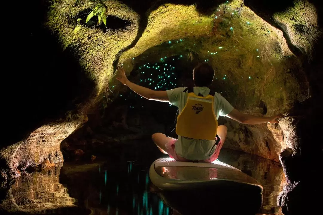 Twilight Paddle Board or Kayak the Glowworm Caves Rotorua