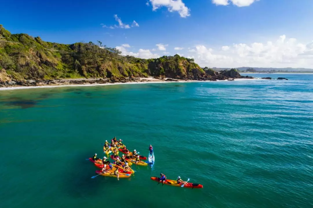 Dolphin Watching and Kayaking Experience from Byron Bay