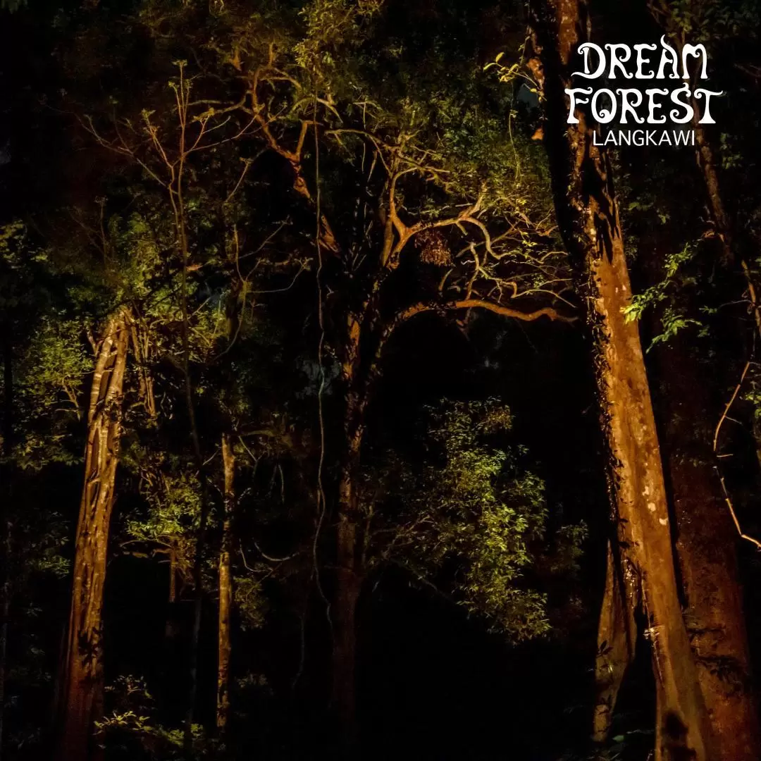 蘭卡威Dream Forest門票