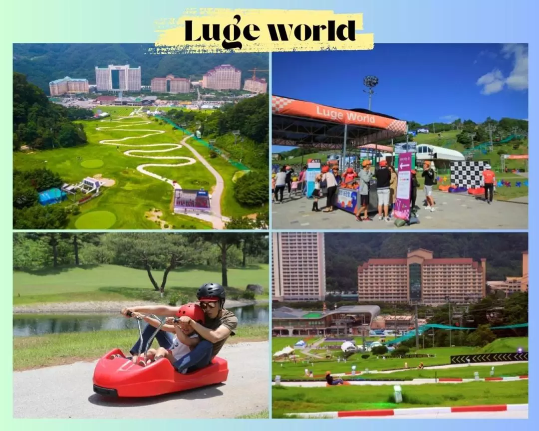 Railbike / Luge Racing Car / Alpaca World / Legoland One Day Tour