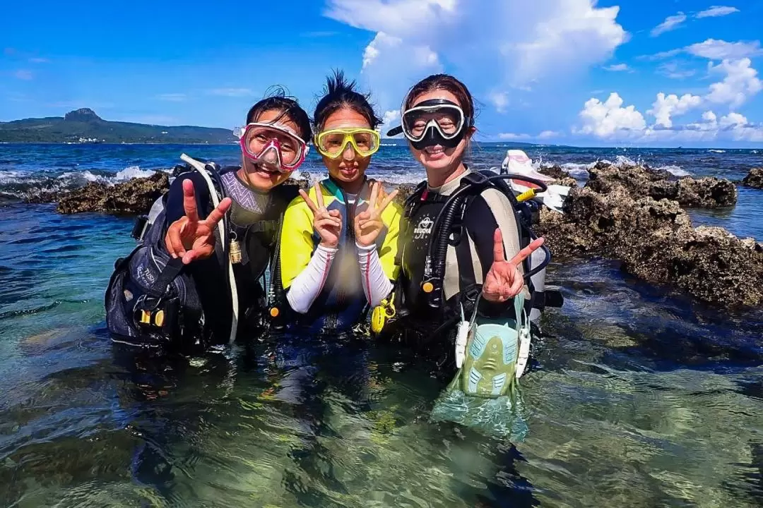 CTdIver - Diving Experience - PADI OW Course