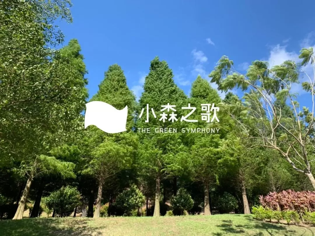 新竹｜小森之歌｜門票