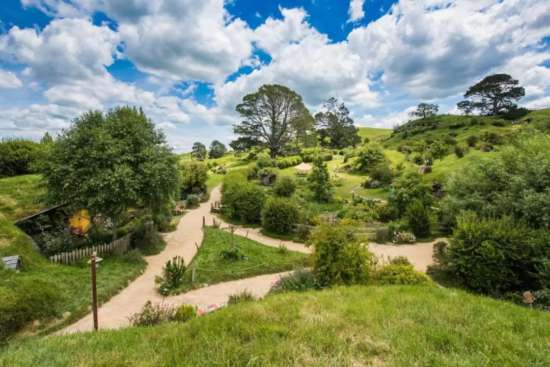 Hobbiton Movie Set Day Tour from Auckland