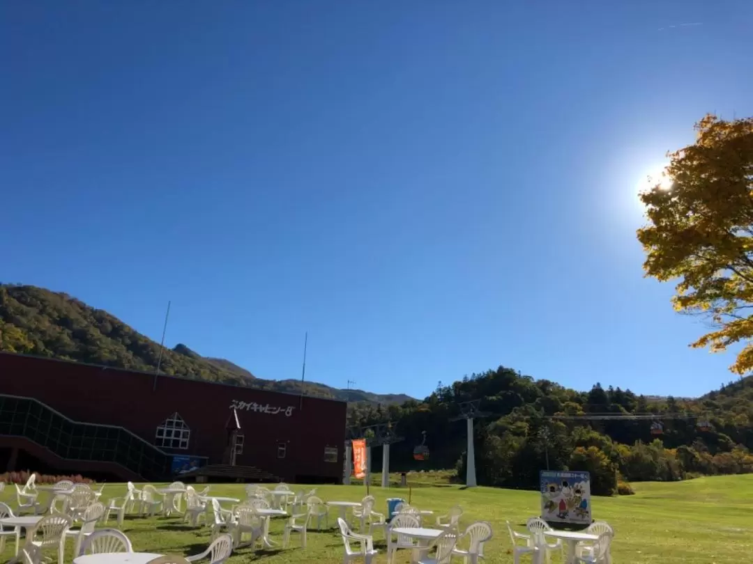 豐平峽電動巴士＆札幌國際滑雪場往返纜車票