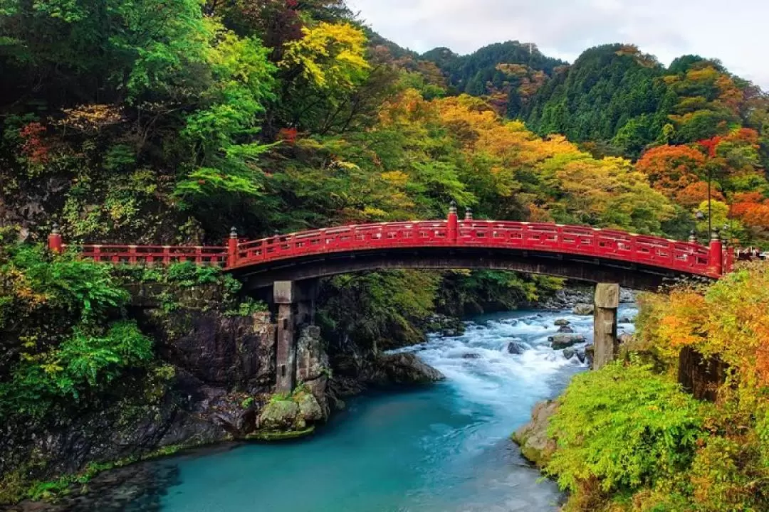 Nikko Sightseeing 10 Hours Private Chartered Car Tour from Tokyo