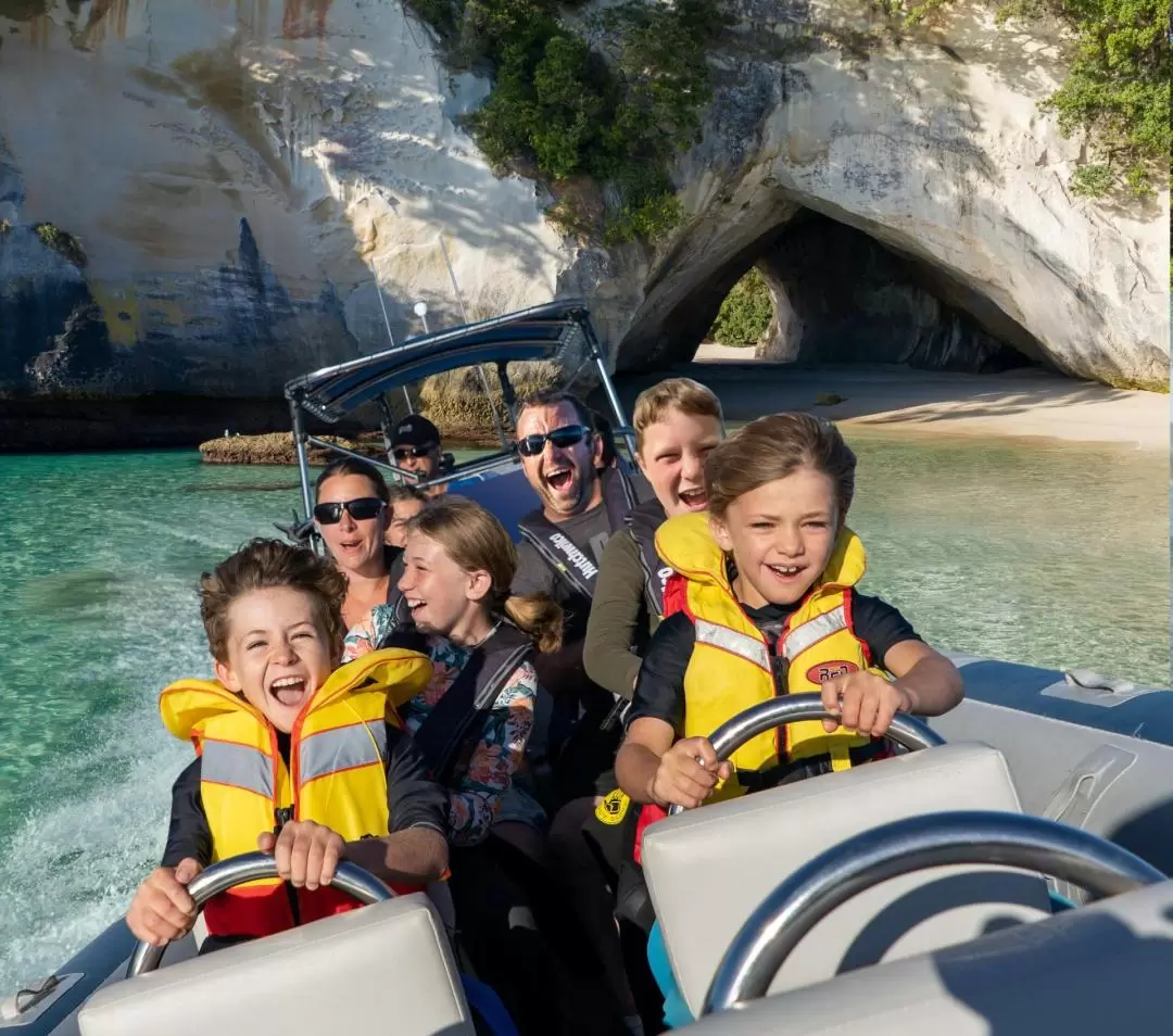 Cathedral Cove Ultimate Boat Tour in Whitianga from Waikato