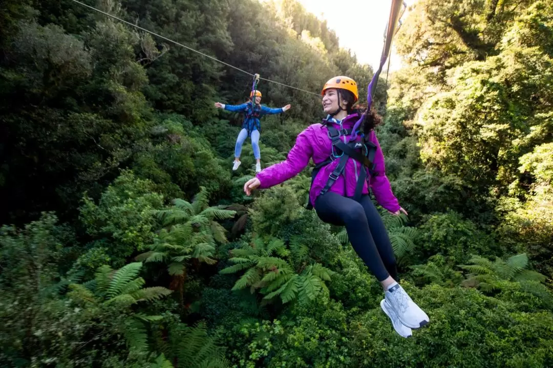 Forest Ziplining Experience in Rotorua