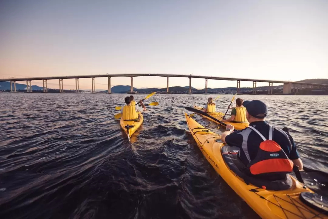 Hobart City Kayaking Tour	