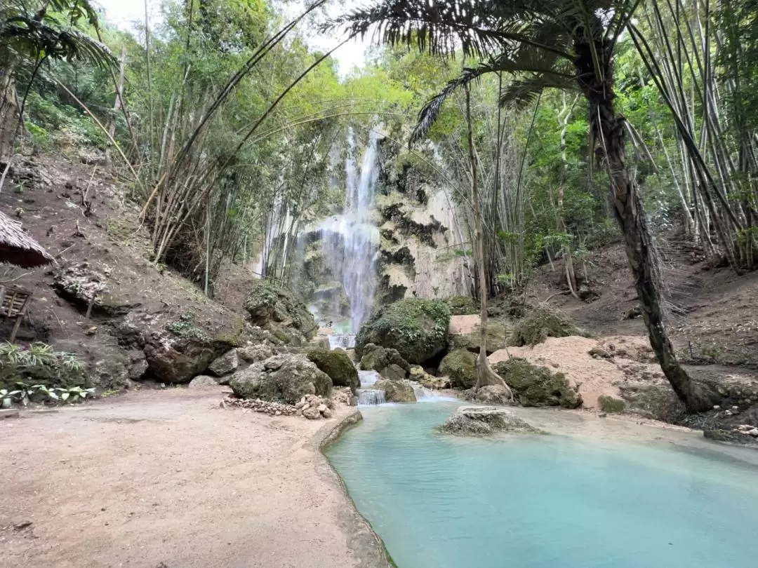 Whale Shark Encounter, Sumilon Sandbar, and Canyoneering in Kawasan Falls