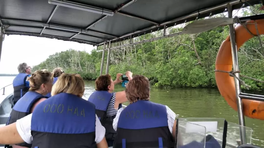 Dolphin Mangrove Cruise and Sarawak Cultural Village Tour in Kuching