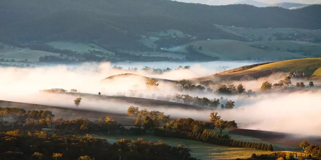 Mystery Picnic in Yarra Valley