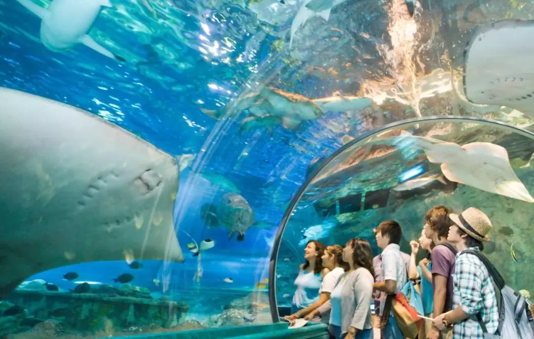 關島海底世界水族館門票