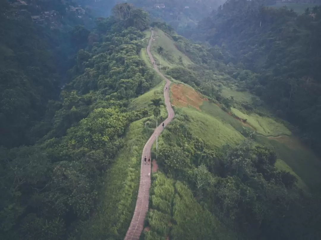 Ubud Eco Walk Private Day Tour