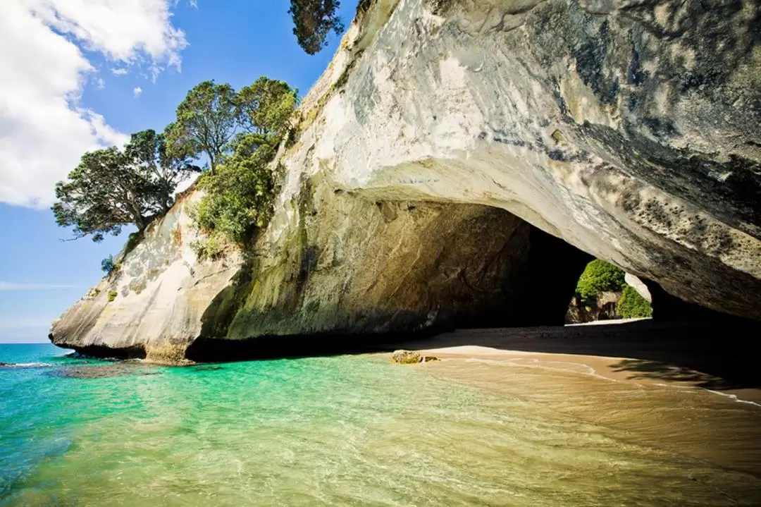 Coromandel Peninsula Highlights Small Group Tour from Auckland