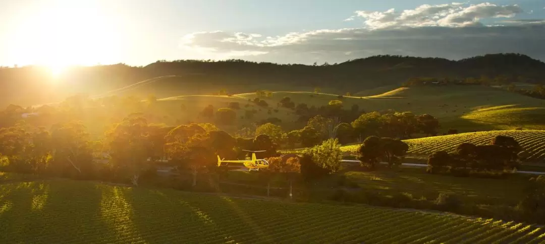 Barossa Valley Chocolate Company Scenic Flight in Adelaide by Barossa Helicopters