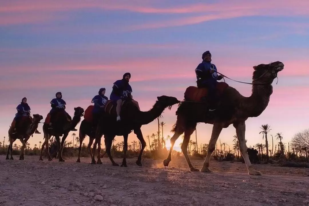 Camel Ride During Sunset at Palmeraie in Marrakech