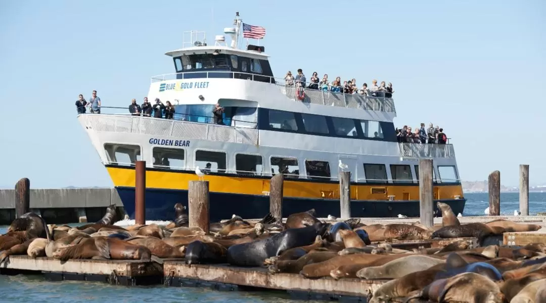 San Francisco Bay Cruise Adventure