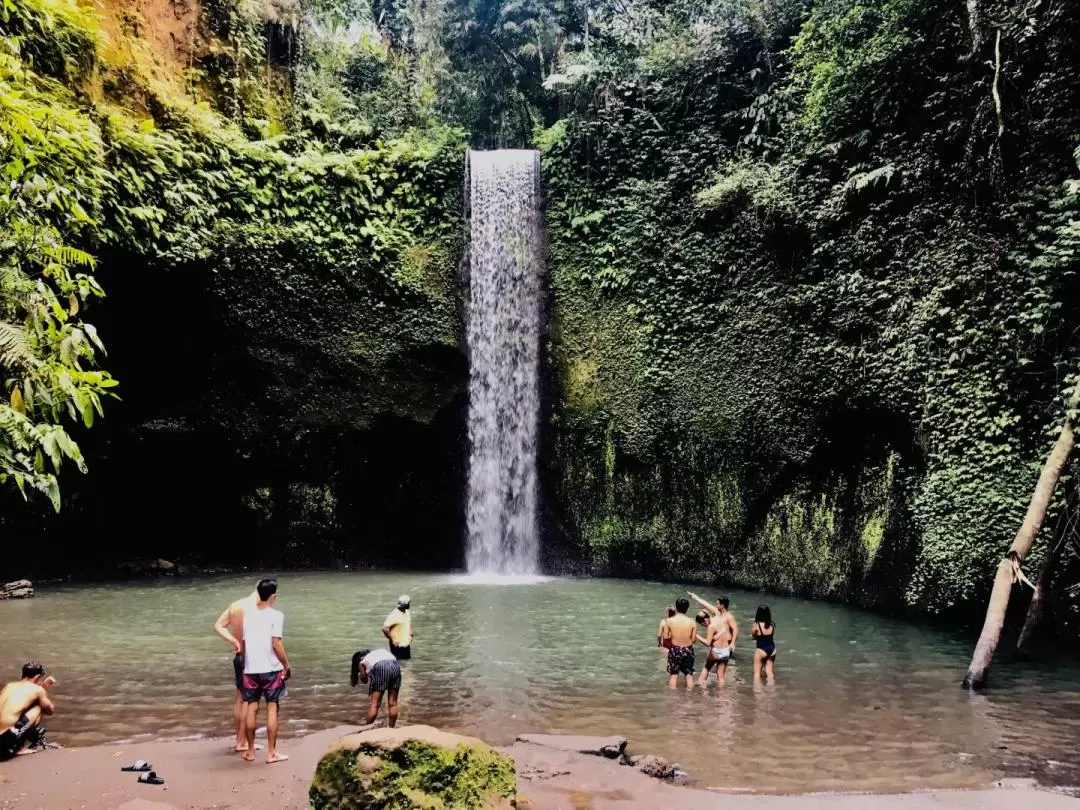 Ayung River Rafting in Bali with Activities and Sightseeing Tour