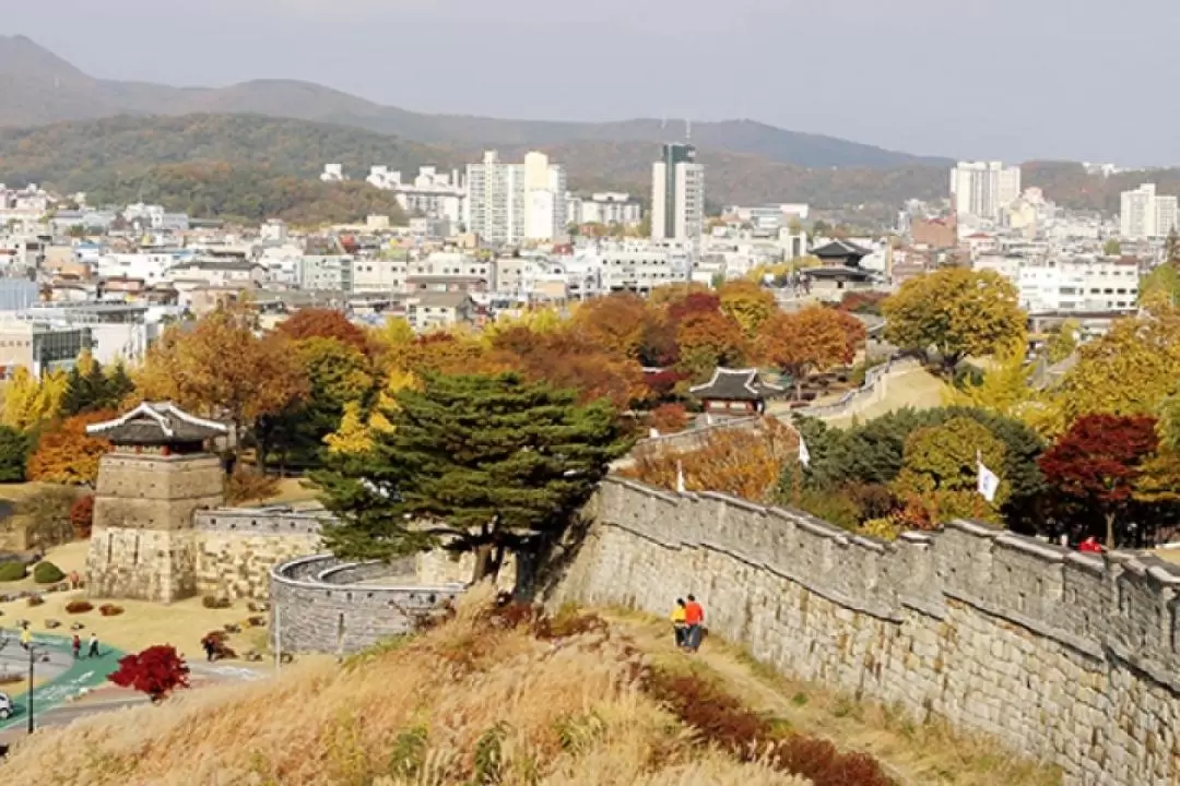 Suwon Historical Autumn Romantic Day Tour from Seoul