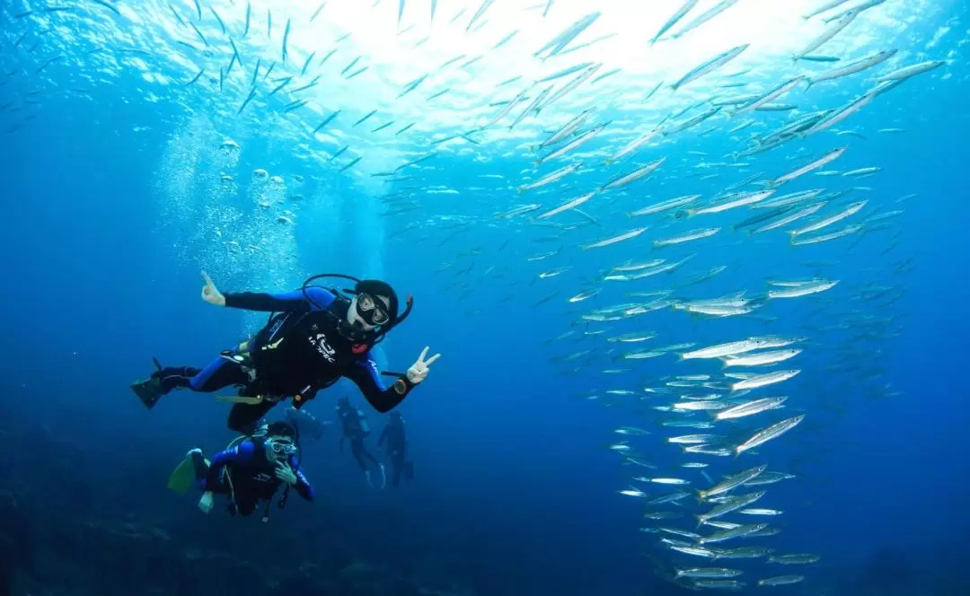 Kenting Underwater Diving Experience