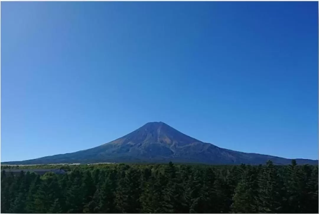 富士山2天1夜登山之旅（新宿往返）