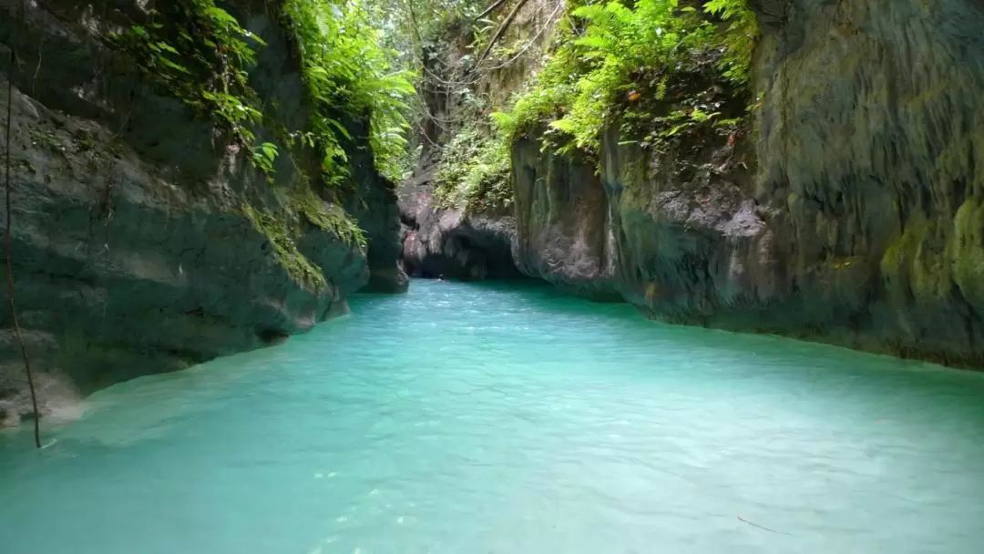 Badian Canyoneering in Cebu and Kawasan Falls Tour