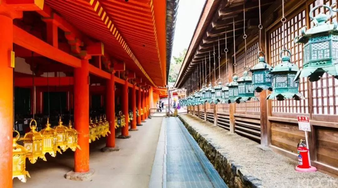 Nara Afternoon Tour from Kyoto