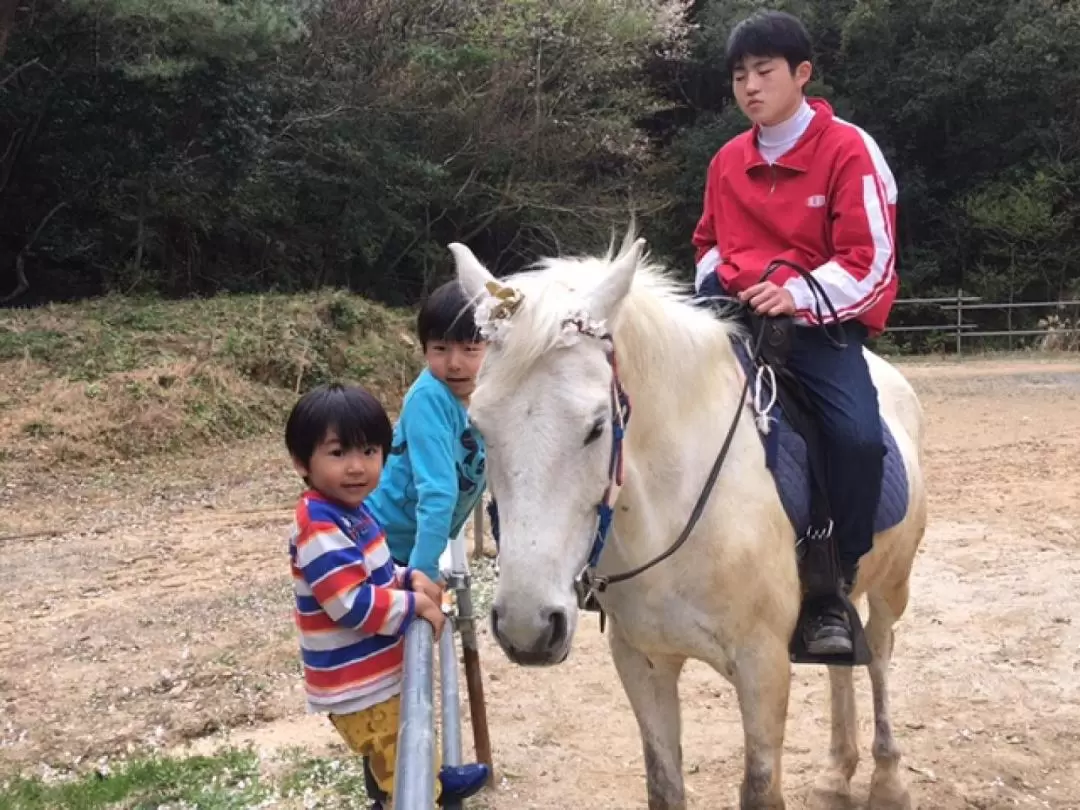 Yabusame Horseback Archery Experience in Takeo