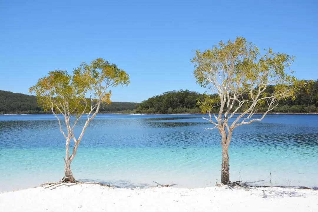 Personalised 4WD Full Day Tour of Fraser Island 