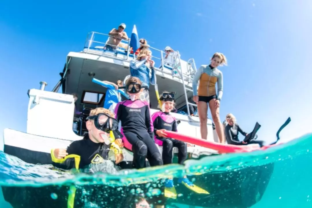 Coral Viewing and Snorkeling Tour in Coral Bay