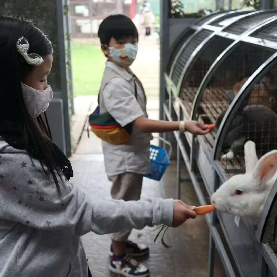 萬隆 Jendela Alam 動物樂園門票