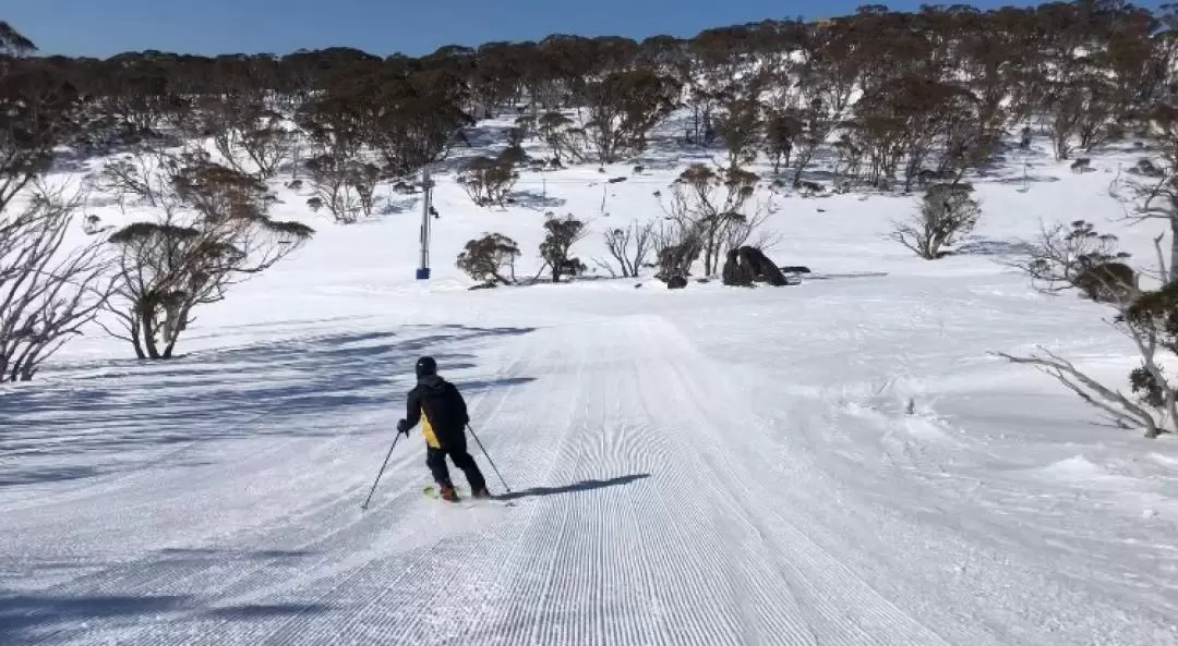 澳洲派瑞雪滑雪場之旅（悉尼出發）