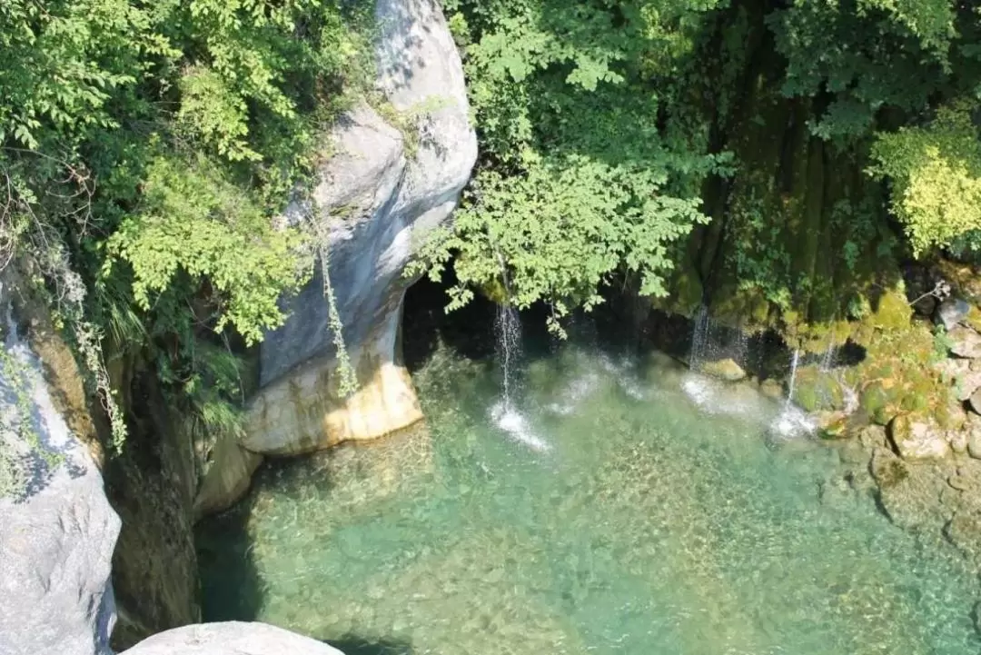 尼斯鄉村半日遊