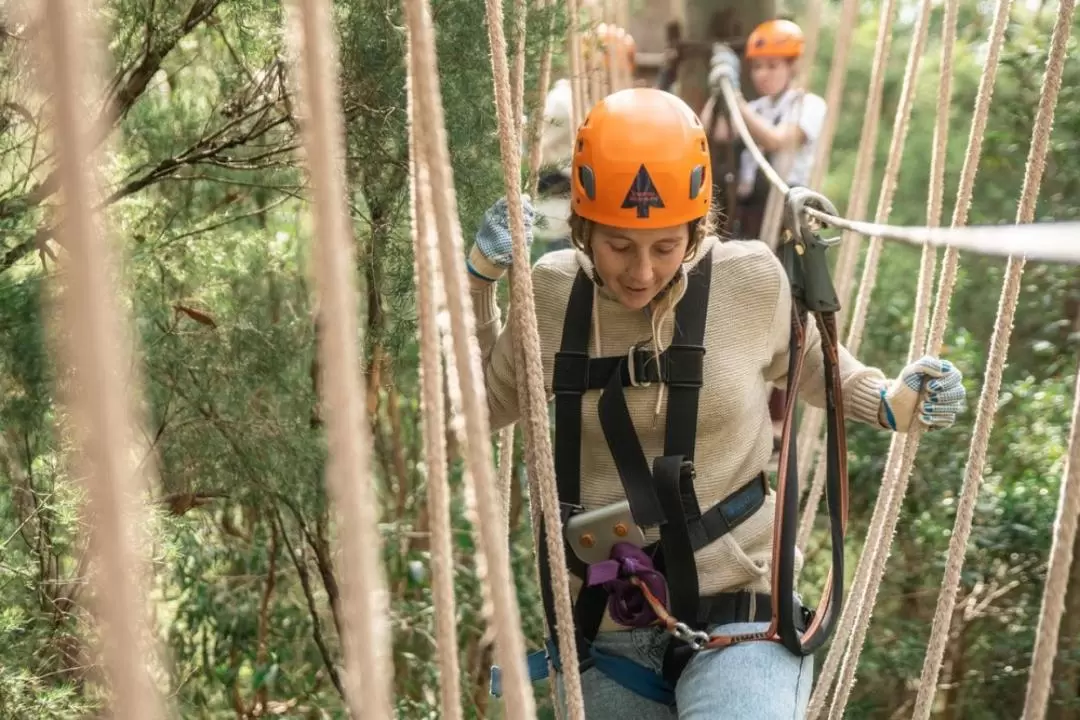 Tree Ropes Course and Net World Experience in Central Coast