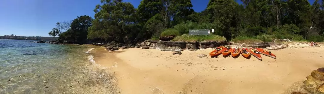 Guided Kayak Tour from Manly Beach