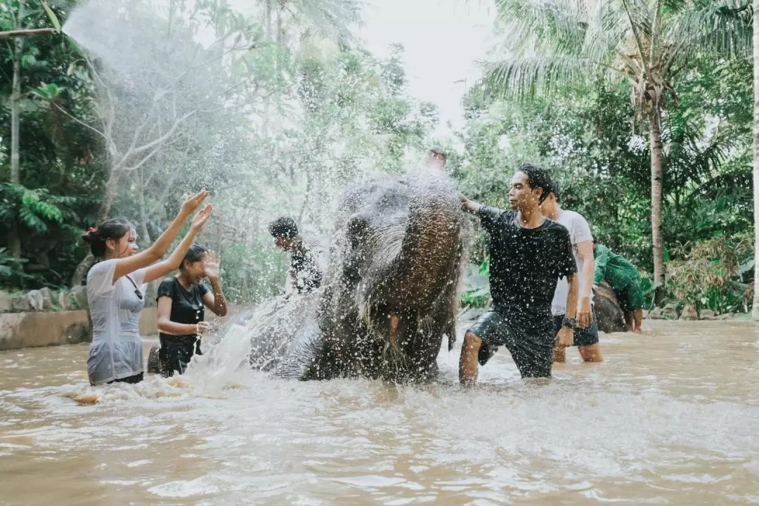 Lombok Wildlife Park Ticket (For Domestic Travellers ID Card and KITAS Card Holders)