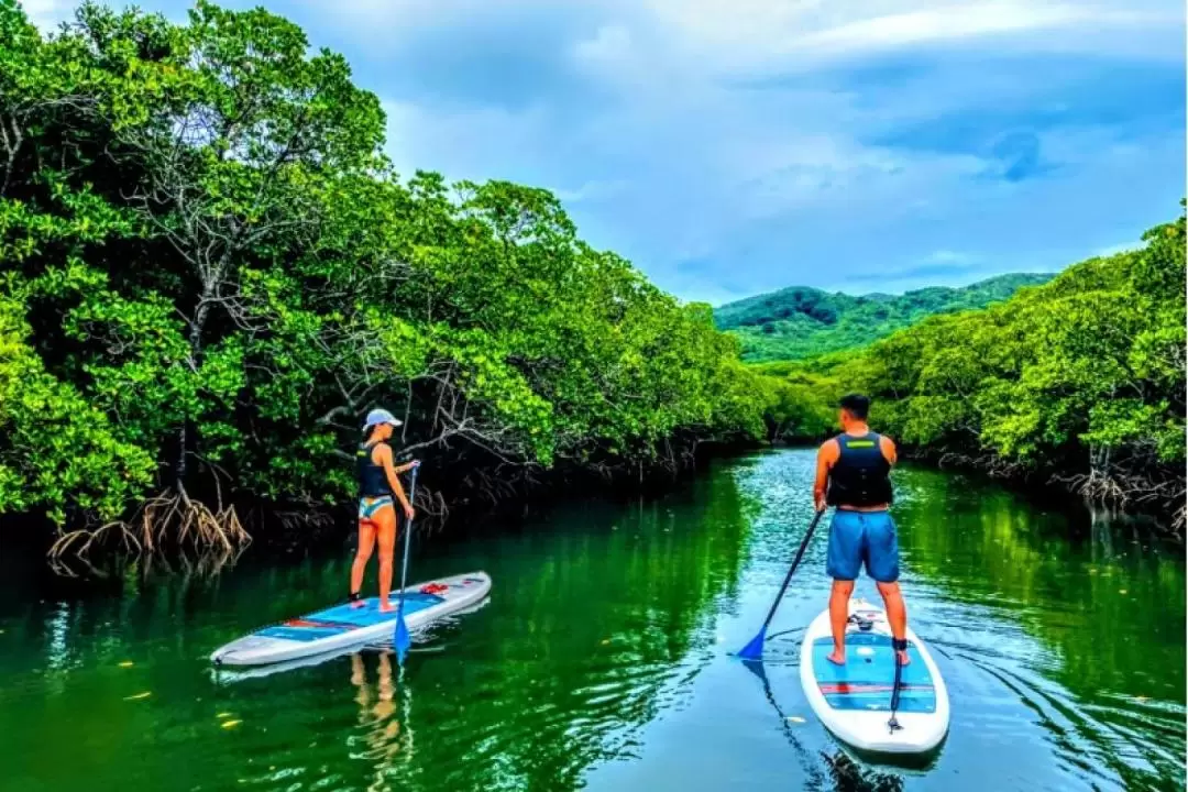 Sunset, Stargazing & Mangrove Canoe Experience in Okinawa