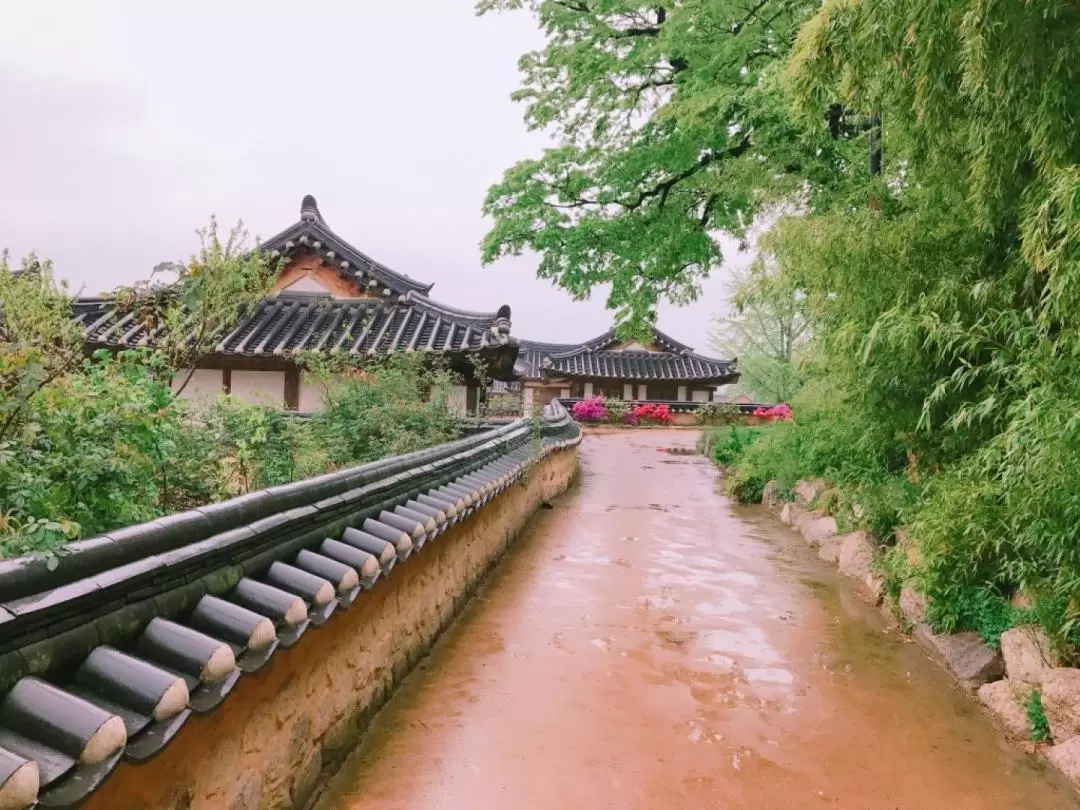 庆州大陵苑皇家古墓群＆良洞村＆雁鸭池一日游（釜山出发）