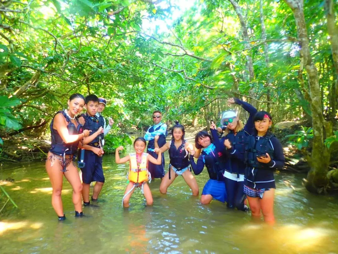 Iriomote Island Private Activity (Shuttle service within the whole island)