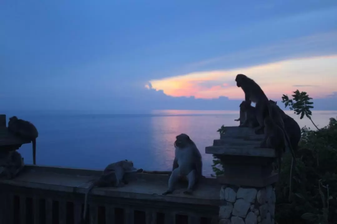 Uluwatu Temple Sunset and Kecak Fire Dance Tour