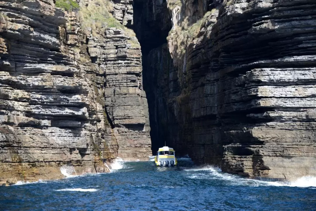 Jervis Bay Passage Sightseeing Cruise 