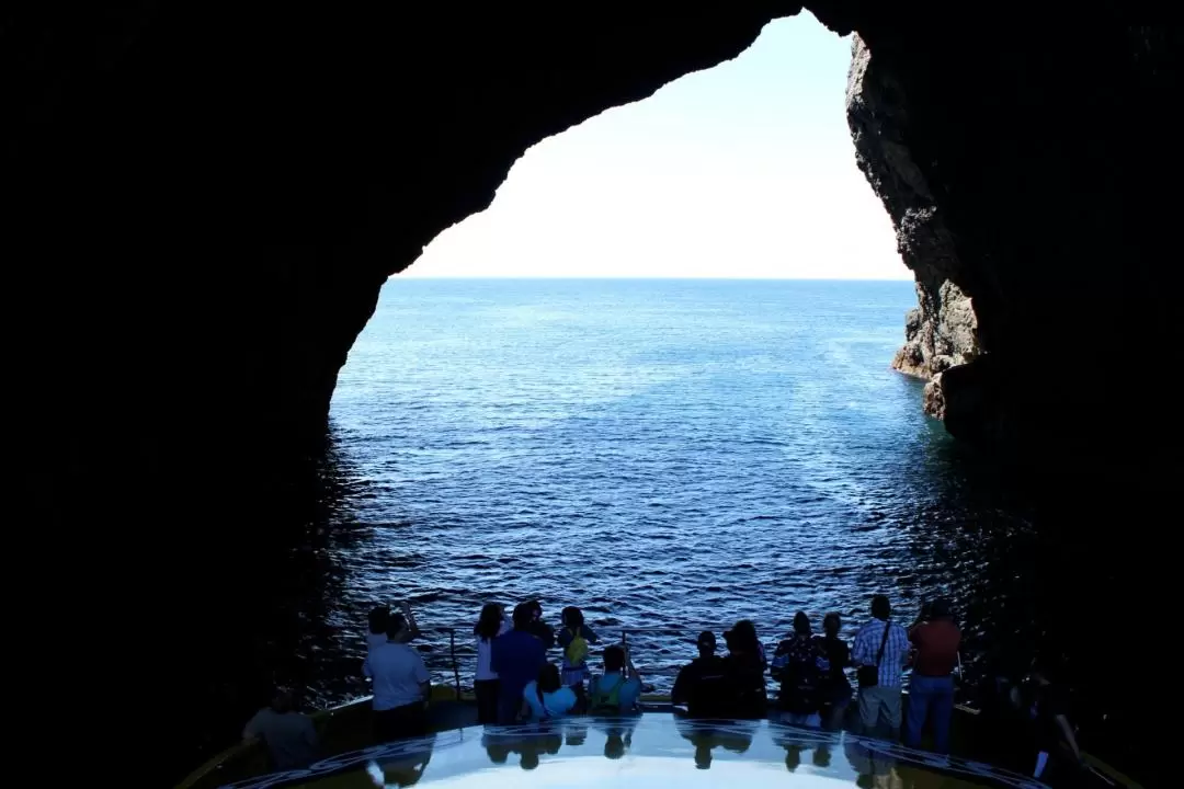 新西蘭島嶼灣巖中洞（Hole in the Rock）遊船探索之旅