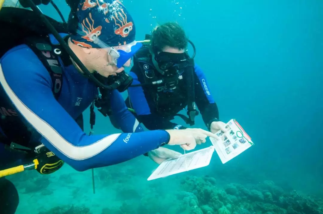 バイオロックペムテラン ビーチダイブ体験（バリ / Bali Diving Academy提供）