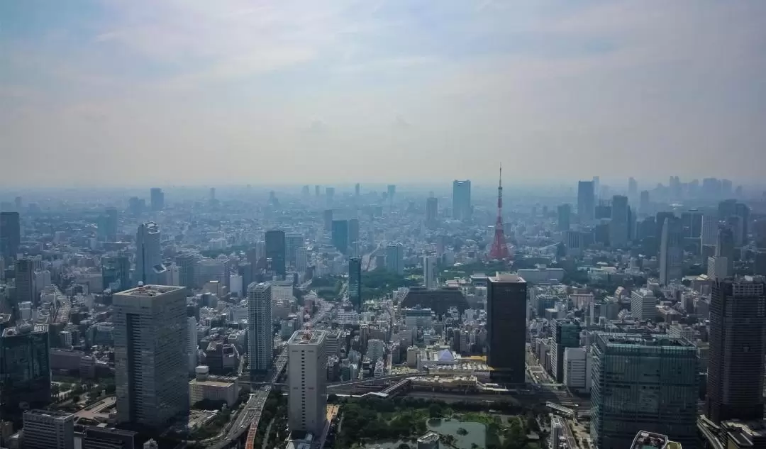 Private Helicopter Experience in Tokyo