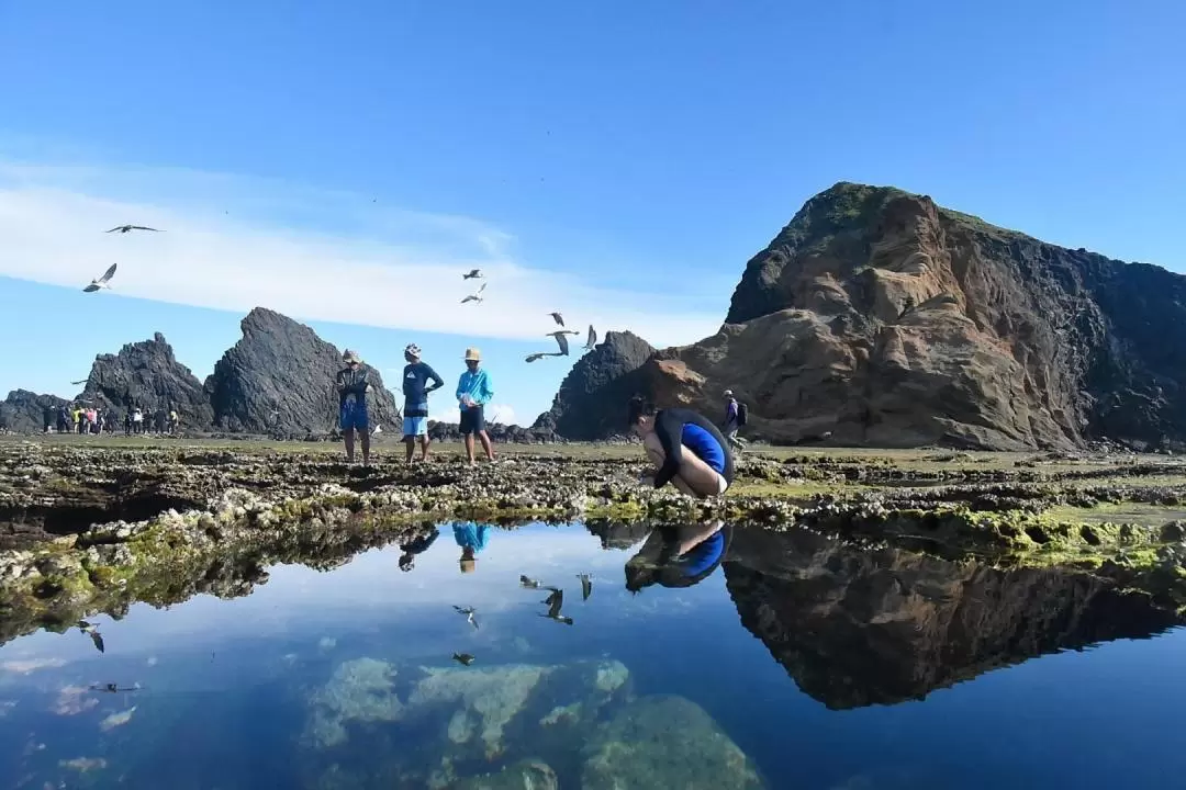 澎湖：珊瑚礁忘憂島一日遊 - 忘憂島秘境 & 南方四島浮潛 & 海上侏羅紀公園 & 海鮮午餐饗宴